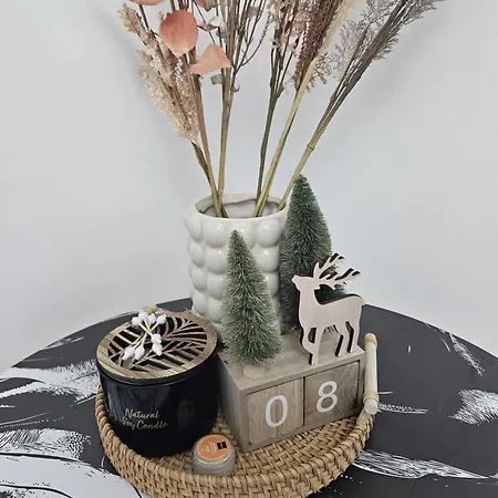 Urban Chic House Selfcheckin Apartment Craiova