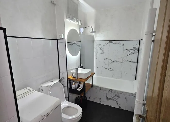 Urban Chic House Selfcheckin Craiova