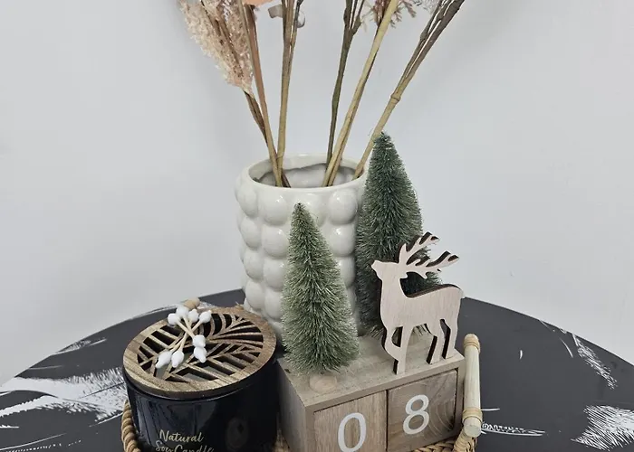 Urban Chic House Selfcheckin Daire Craiova